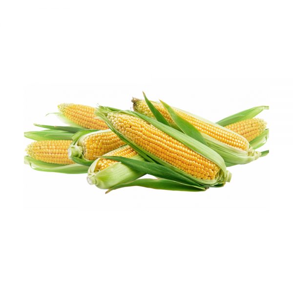 corn-starch