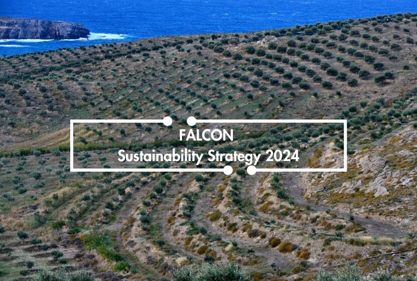 FALCON Sustainability Strategy 2024